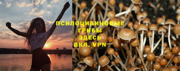 прущий лед Богданович