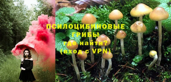ГАЛЛЮЦИНОГЕННЫЕ ГРИБЫ Богородск